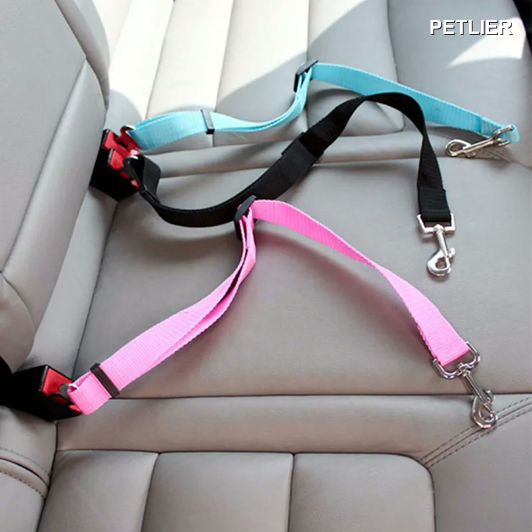 Cinturones de seguridad para perro en negro, azul y rosa