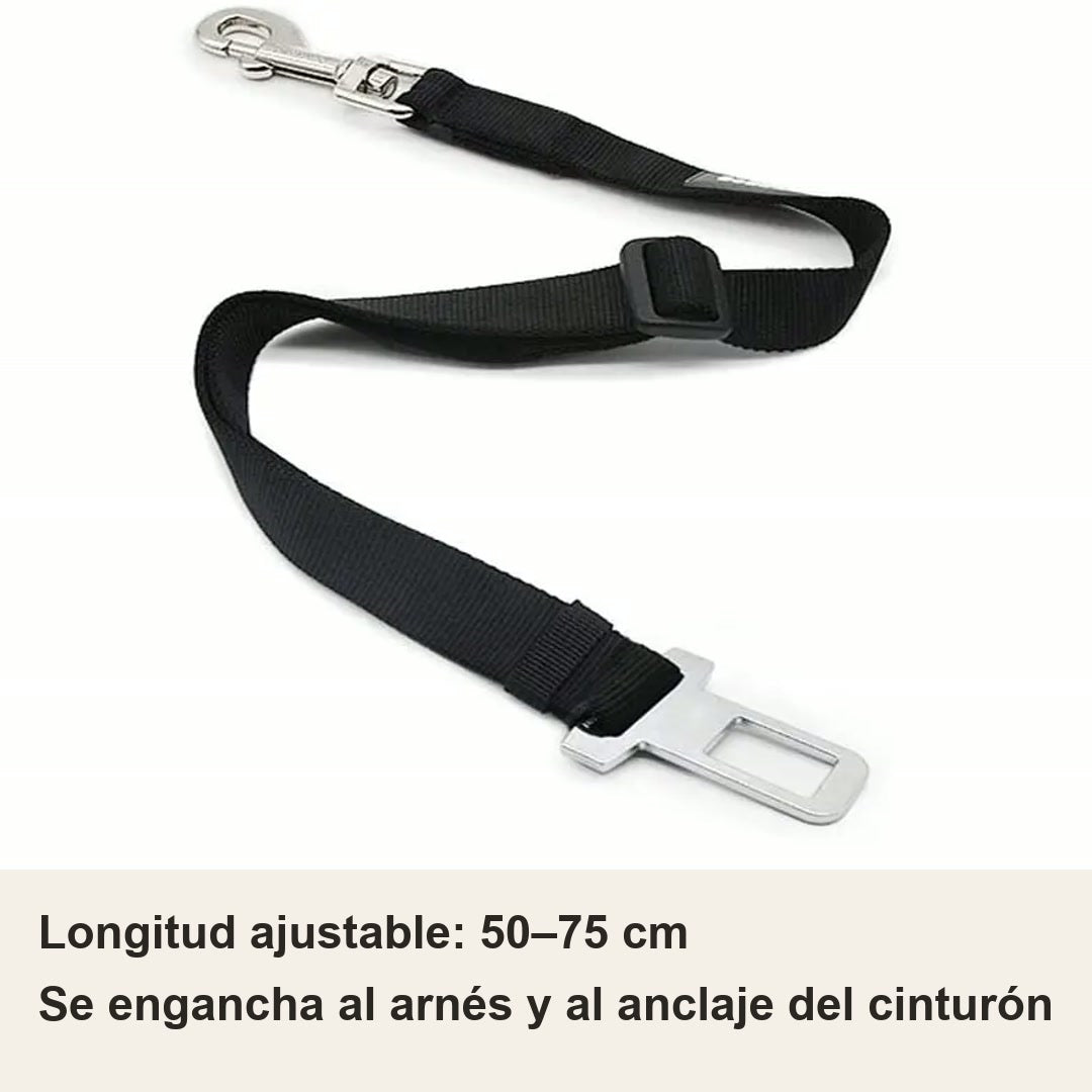 Cinturón ajustable 50–75 cm