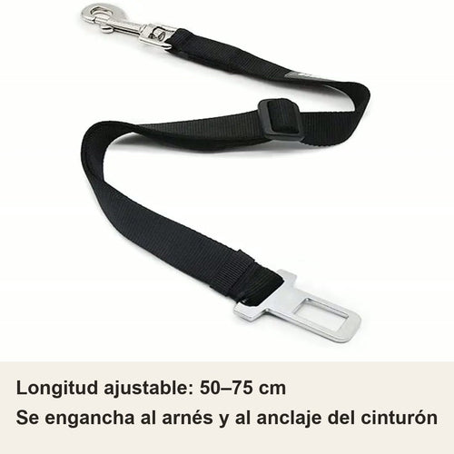 Cinturón ajustable 50–75 cm