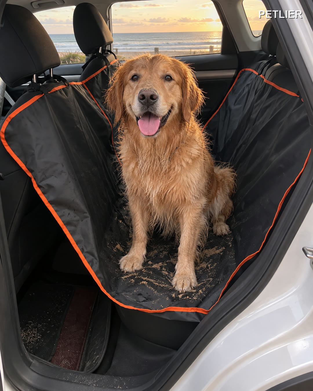 Perro mojado de la playa sobre la funda
