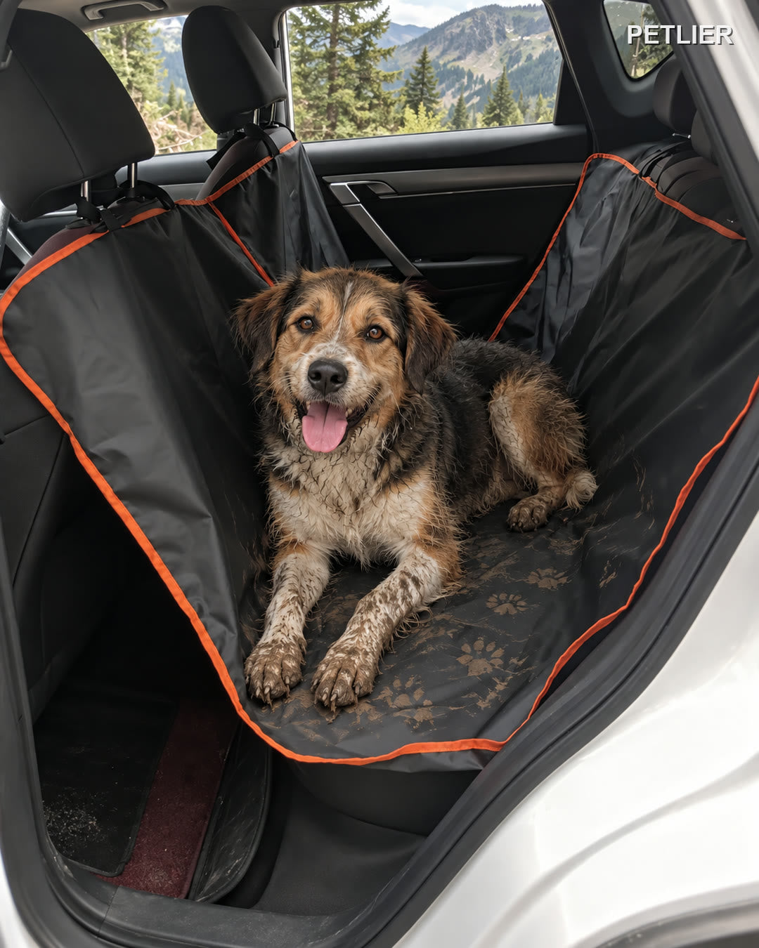 Perro embarrado tumbado sobre la funda