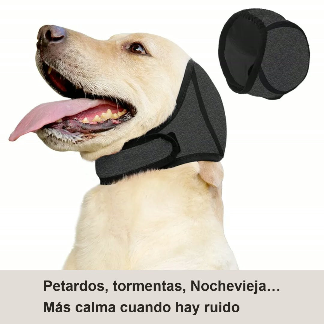 Perro con orejeras calmantes negras